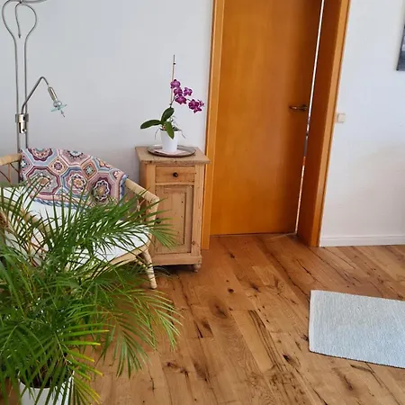 Fewo Mein Panama Bernkastel-Kues Esterno foto